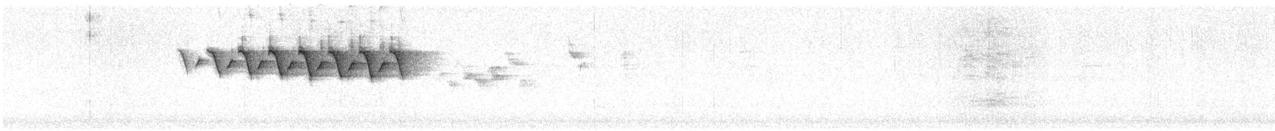 lesňáček černobílý - ML619612046