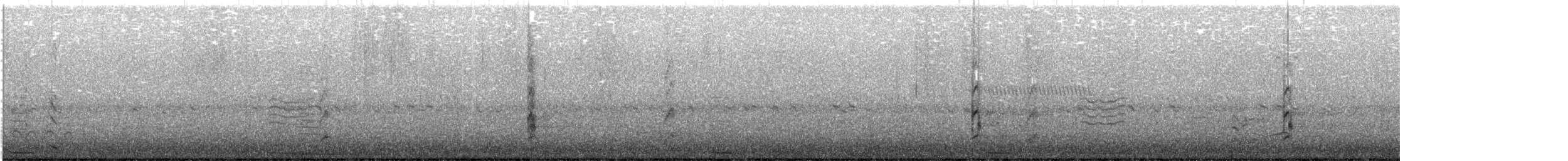 Cygne noir - ML619612109