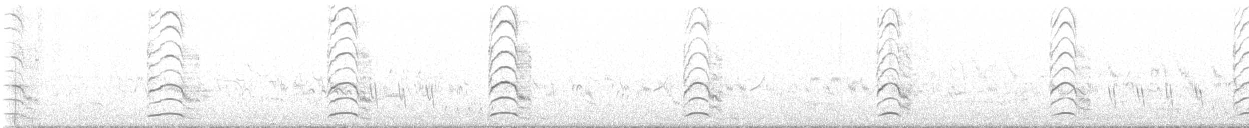 Чайка чубата - ML619612130
