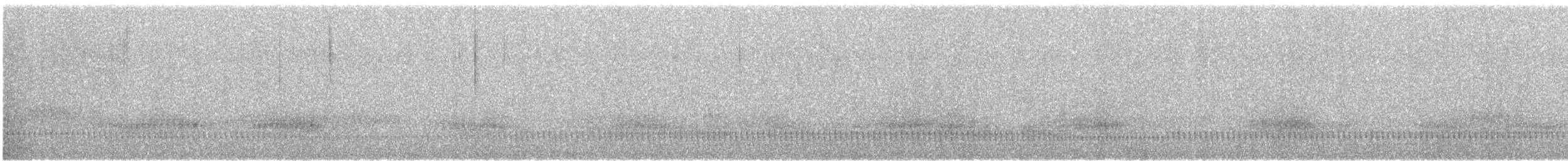 Eurasian Nightjar - ML619613161