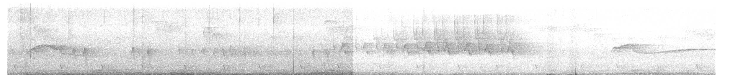 "Шишкар ялиновий (Northeastern, або тип 12)" - ML619614127