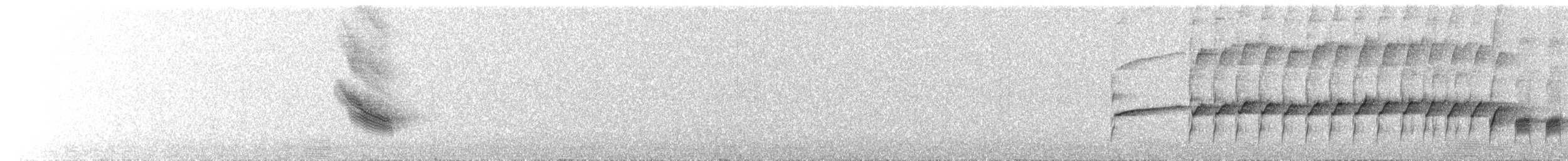 Spotless Starling - ML619614833