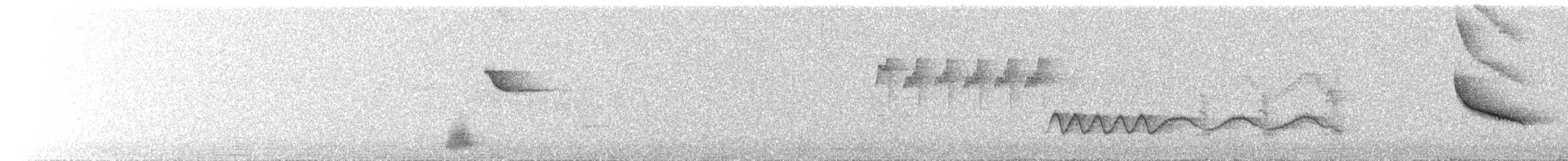 Spotless Starling - ML619614836