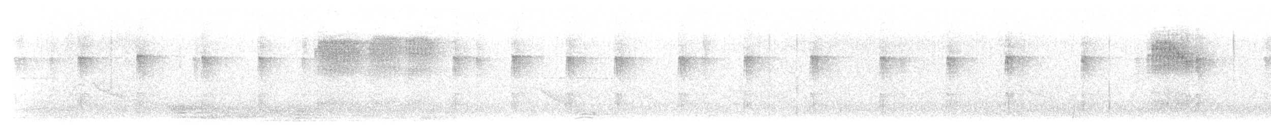 White-eared Sibia - ML619615076