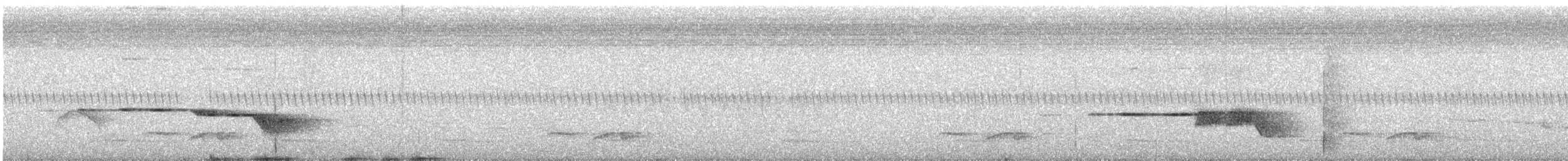 Gray-bellied Tesia - ML619615115