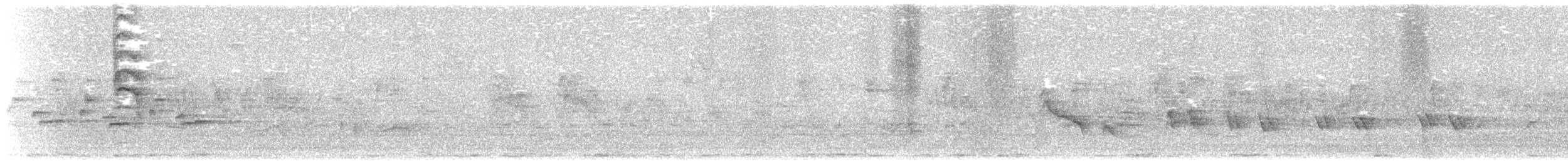 Новозеландская веерохвостка - ML619615773