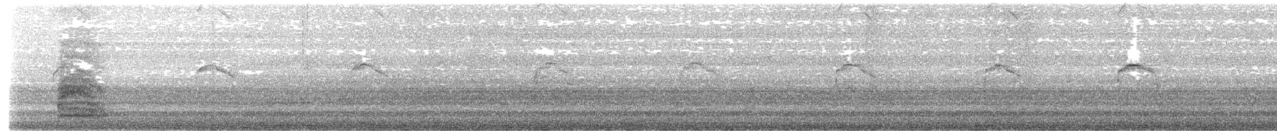紐澳紅嘴鷗 - ML619615893