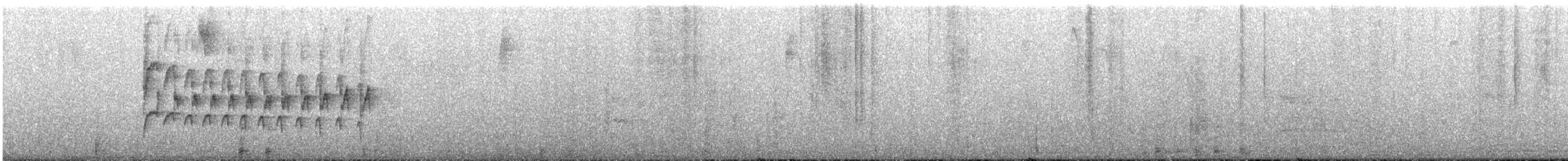 Тиранчик-тонкодзьоб південний - ML619615997