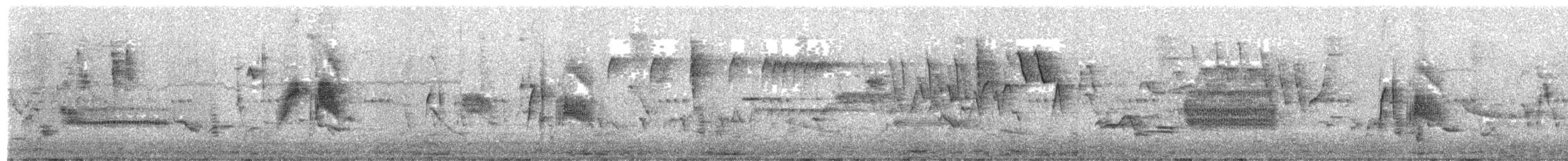 Ивовый мухолов - ML619617101