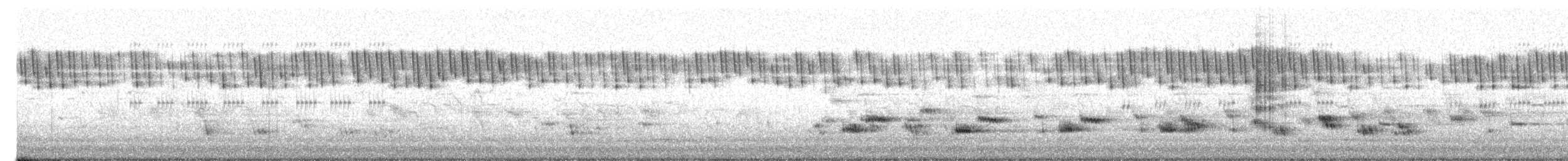 矛斑蝗鶯 - ML619617121