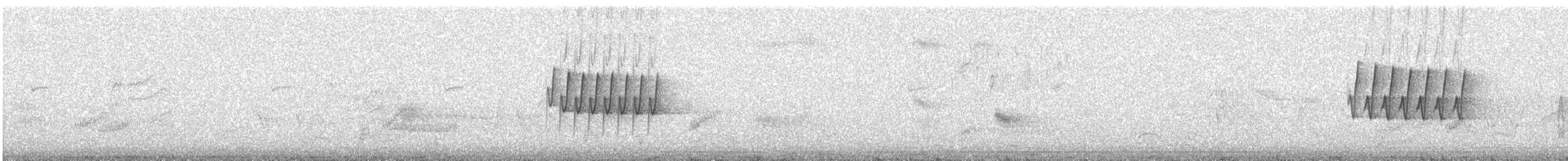 ボネリームシクイ - ML619617249