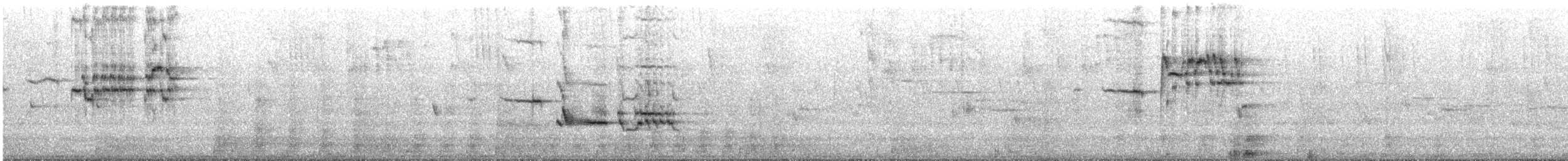 Сероголовый соловьиный дрозд - ML619617966