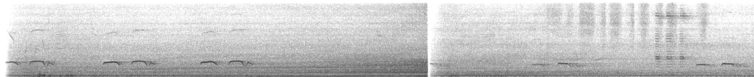 Зозуля білогорла - ML619618275