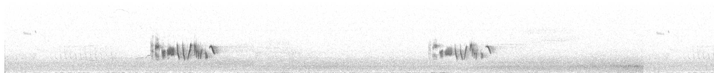 Traquet noir et blanc - ML619618691