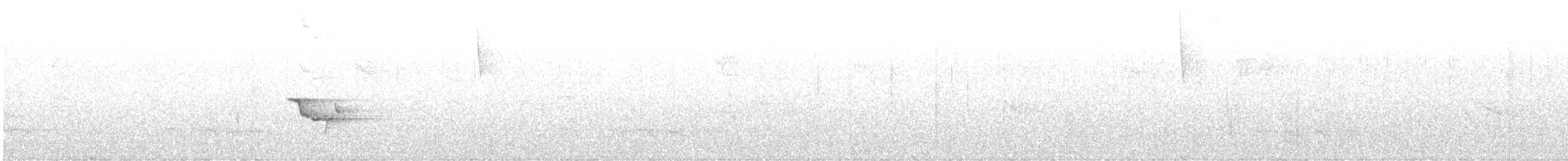 Andean Solitaire - ML619619030