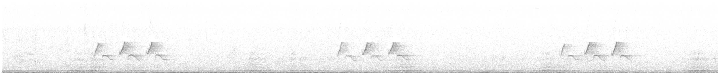 Дубовая гренадерка - ML619619821