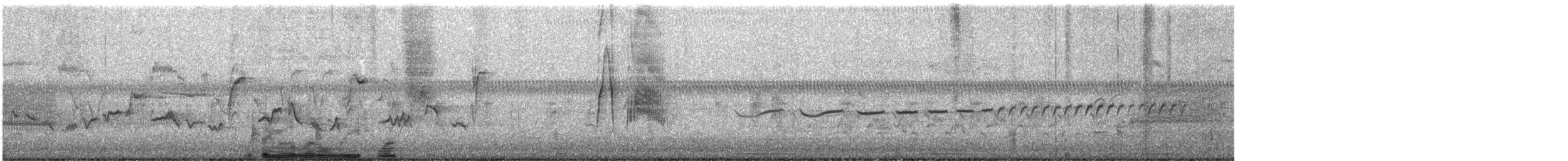 vierempid - ML619619936