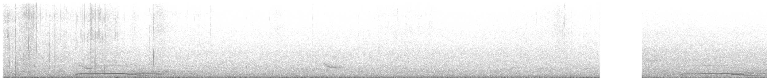 Chouette rayée - ML619620001