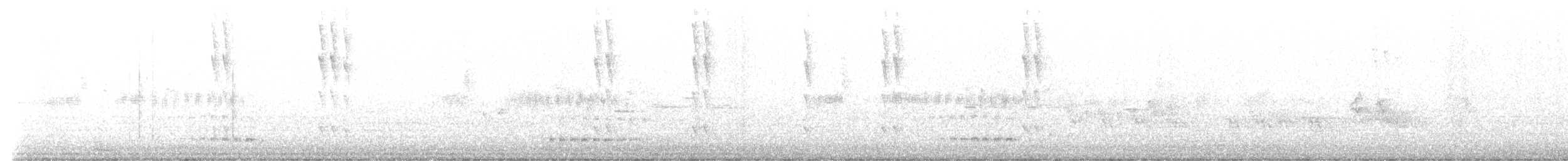 Kara Boğazlı Kolibri - ML619622385