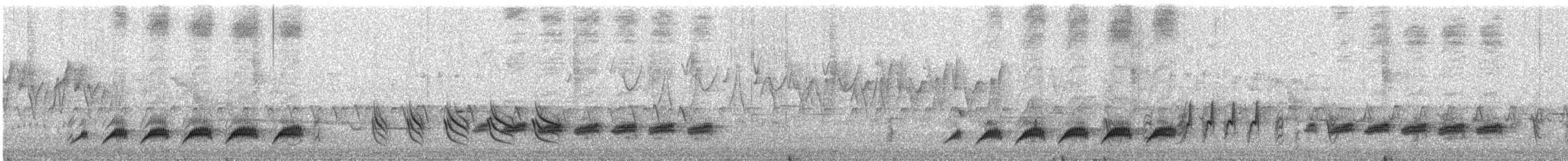 Paradoxornis fléché - ML619623388