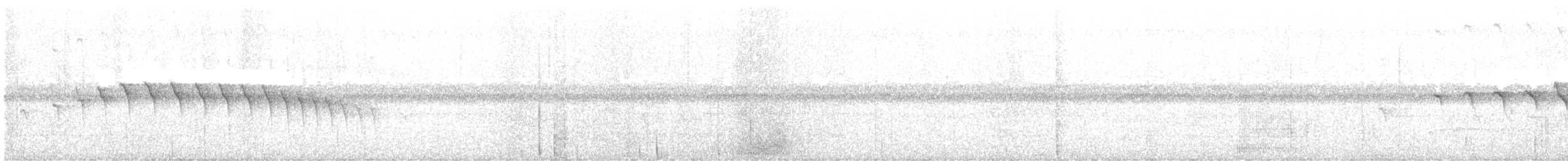 Tropfenflügel-Ameisenfänger - ML619624232