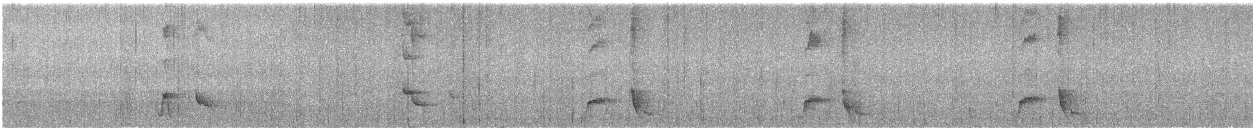 Northern Wattled-Honeyeater - ML619624492