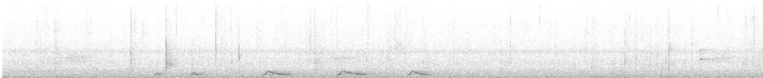 Сова-лісовик бура [група virgata] - ML619624608