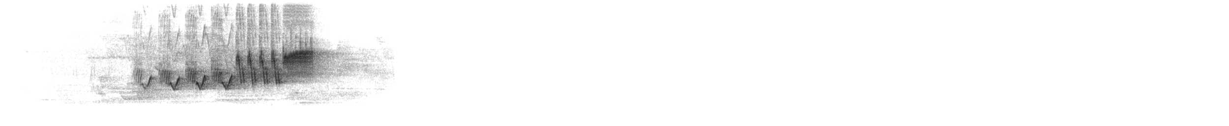 Cerulean Warbler - ML619624894