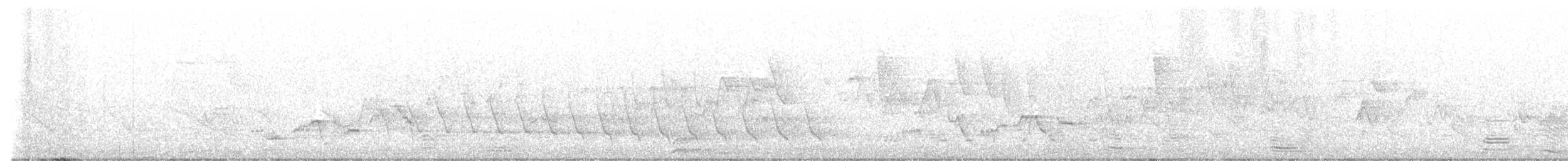 Дрізд-короткодзьоб Cвенсона - ML619624920