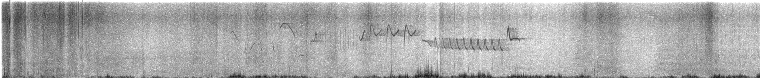 Халгайч урагчин - ML619625201