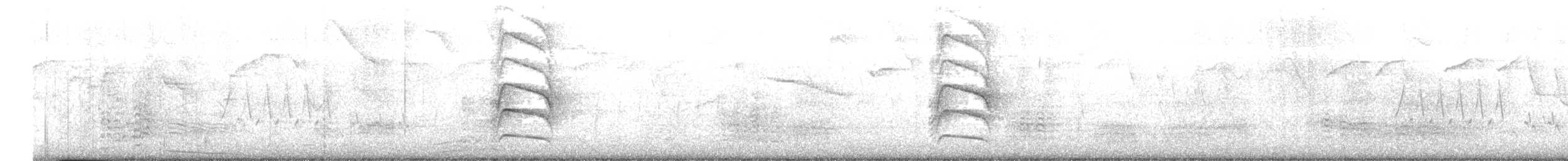 Büyük Kiskadi Tiranı - ML619625536