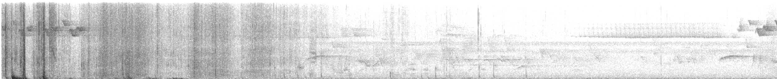 lesňáček černobílý - ML619626047