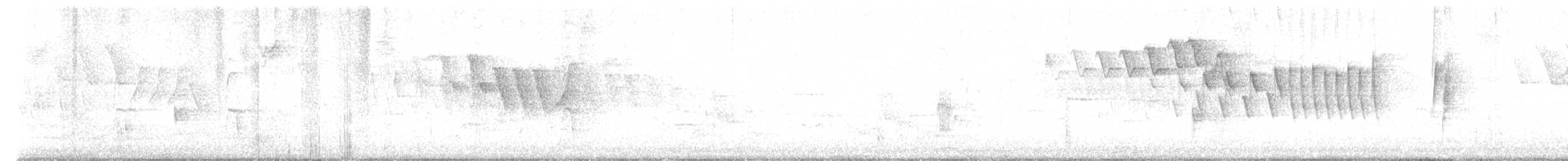 lesňáček černobílý - ML619626456