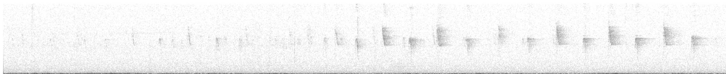 kolibřík ametystouchý - ML619626966
