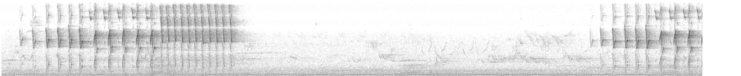 Tennessee Warbler - ML619627243