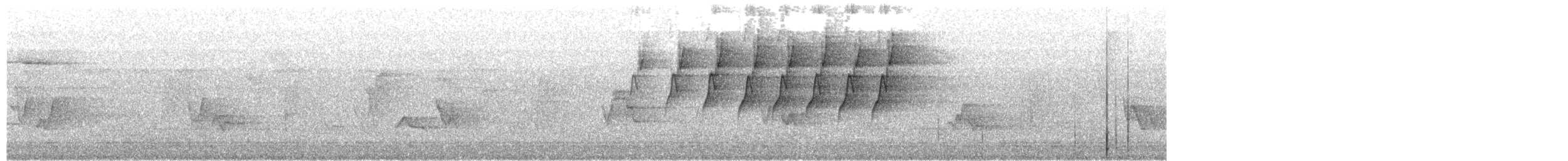 Protonoter Ötleğeni - ML619627468