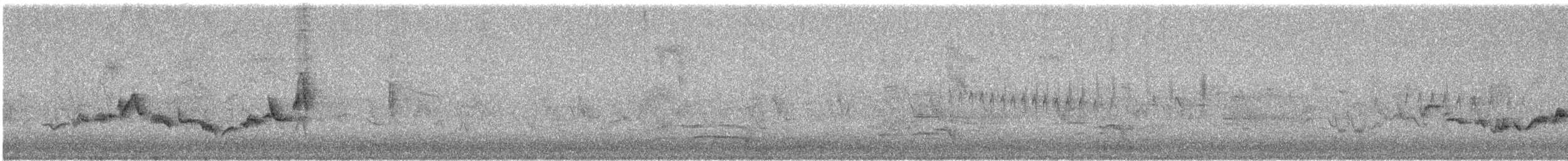 Віреон світлобровий (підвид gilvus) - ML619627637