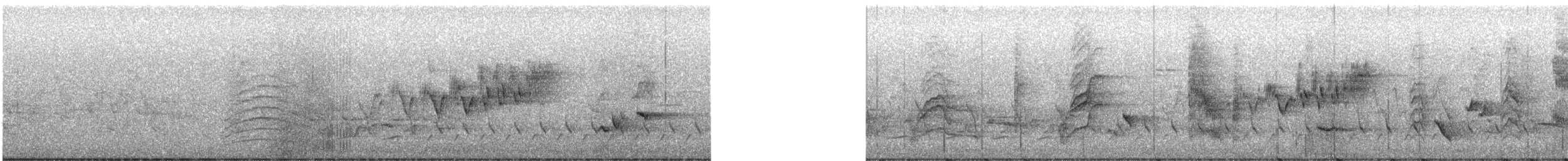 Cerulean Warbler - ML619628291