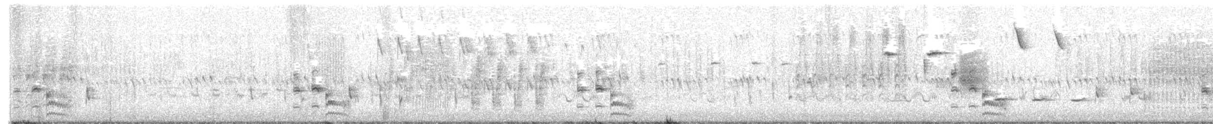 Black Rail - ML619628373