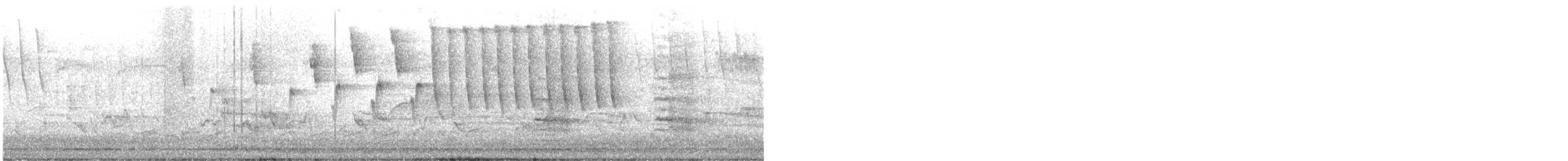 Tennessee Warbler - ML619629363