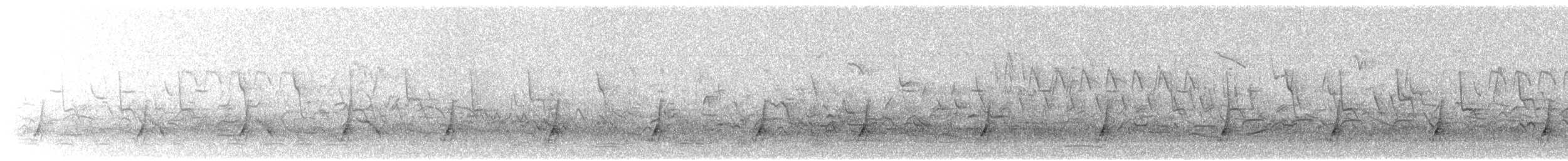 斑胸秧雞 - ML619629635