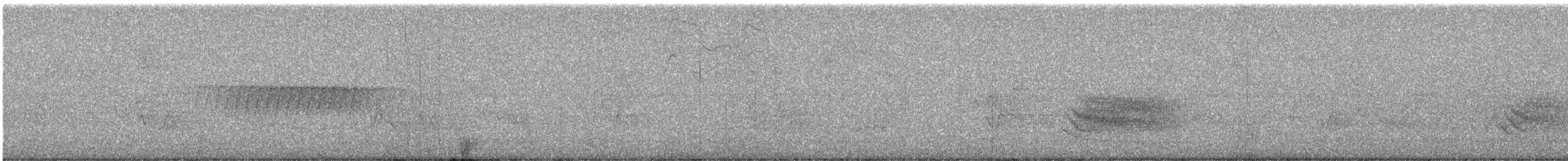 マツアメリカムシクイ - ML619633243