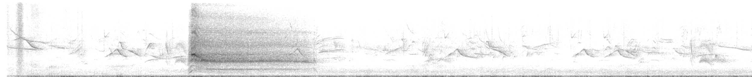 káně rudochvostá (ssp. calurus/alascensis) - ML619633788