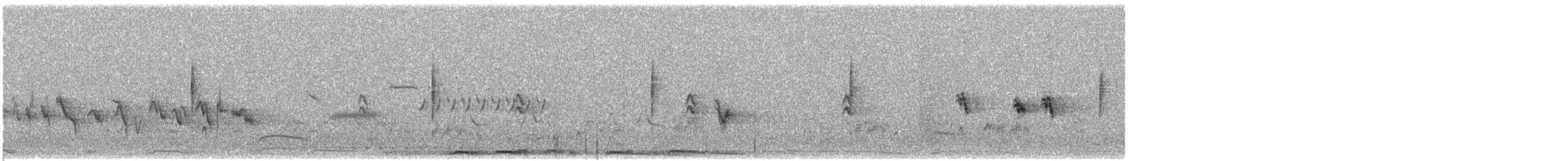 MacGillivray's Warbler - ML619634339