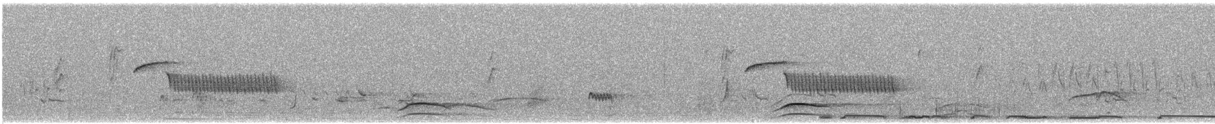 Bewick's Wren - ML619635603