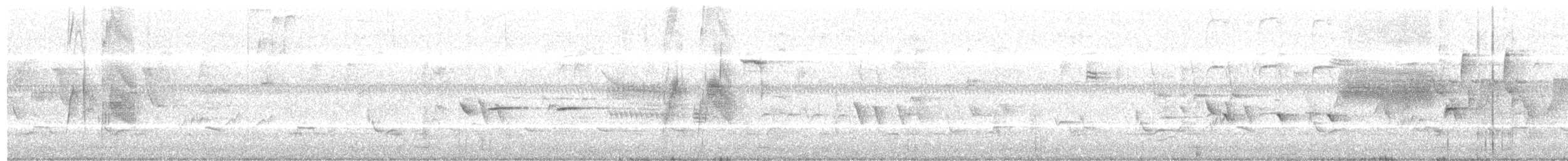 tyranovec vrbový - ML619635781
