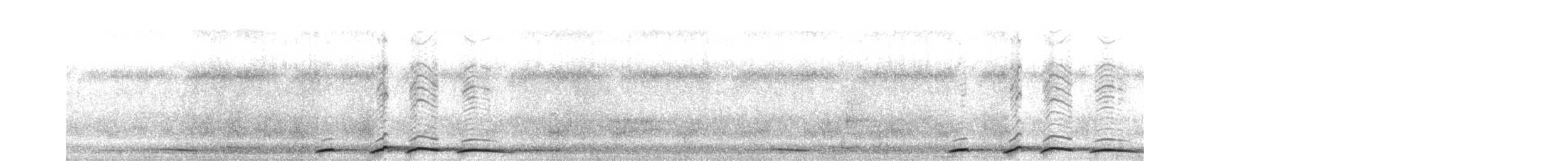 Ruddy Pigeon - ML619636137