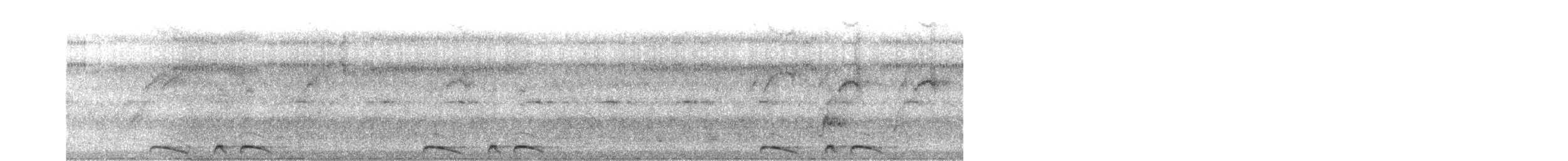 Scaled Dove - ML619636378