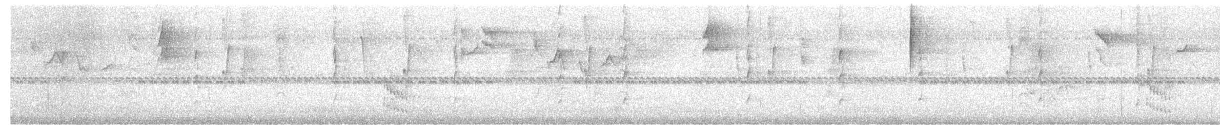 hvitskjeggmanakin - ML619636520