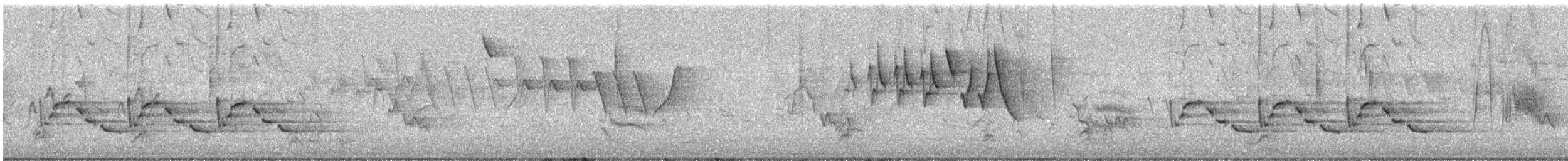 Поплітник каролінський - ML619636657